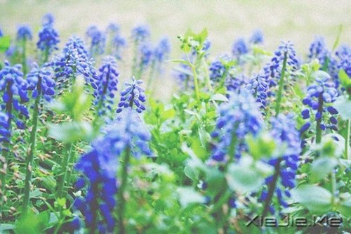 不论这个世界多么糟糕,你自己的世界一定要精彩 (8)