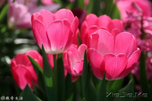 人,总是要醒来的,在某个时刻 (6)