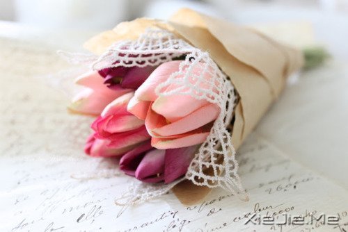 晚安心语:找到完美的路 (1)