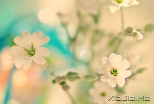 晚安心语:找到完美的路 (5)