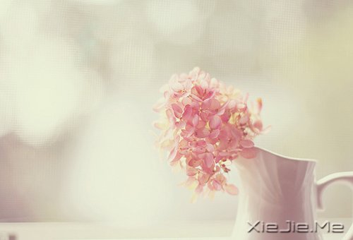 晚安心语:找到完美的路 (7)