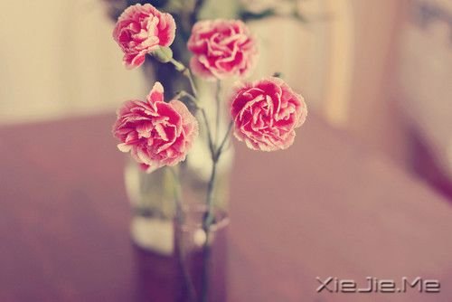 晚安心语:忘不掉的是回忆,继续的是生活 (5)