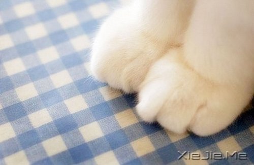 晚安心语:正因为我们都不完美,我们才会彼此需要 (3)